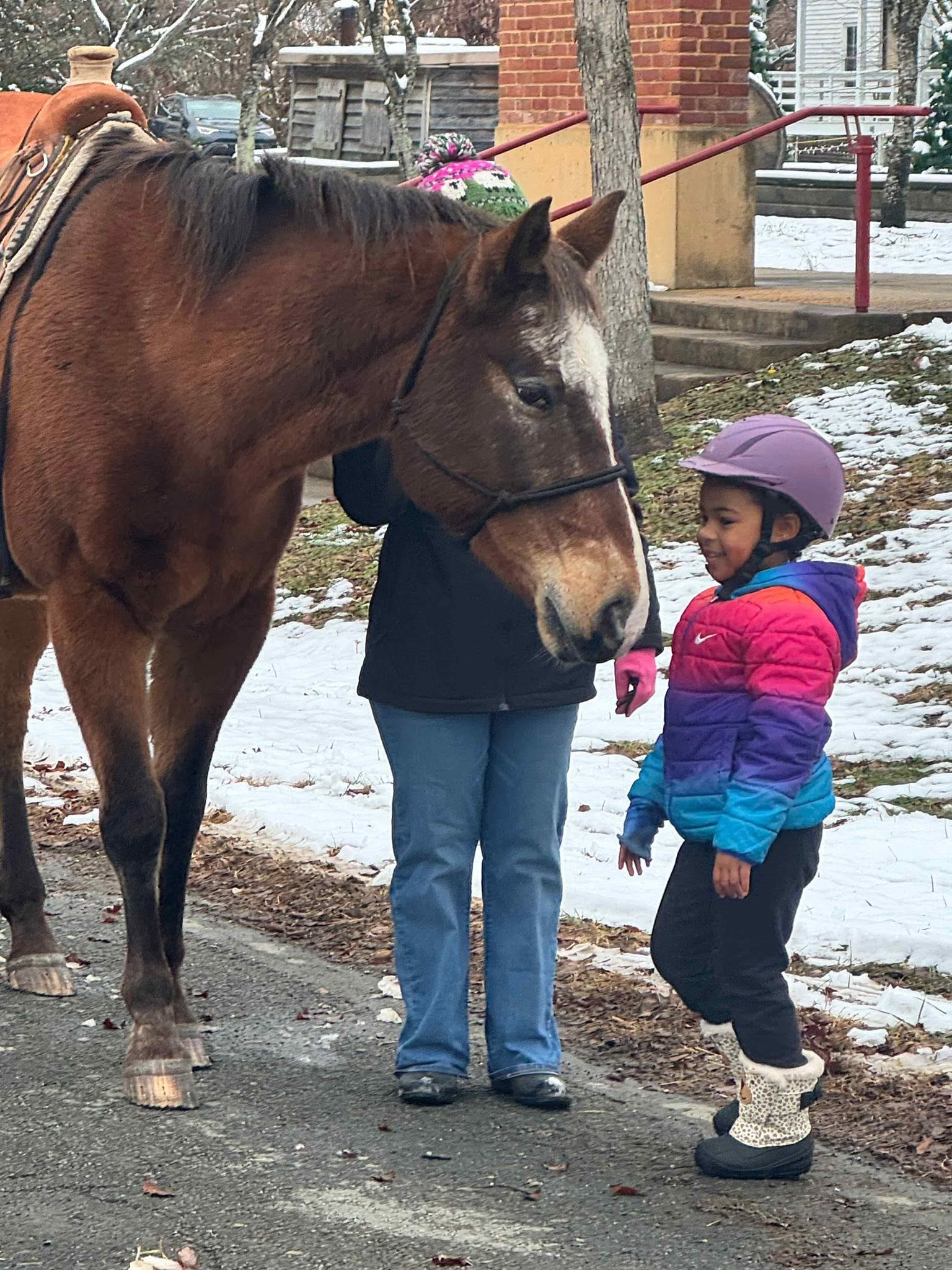 A smiling child in a riding helmet meeting a bay horse