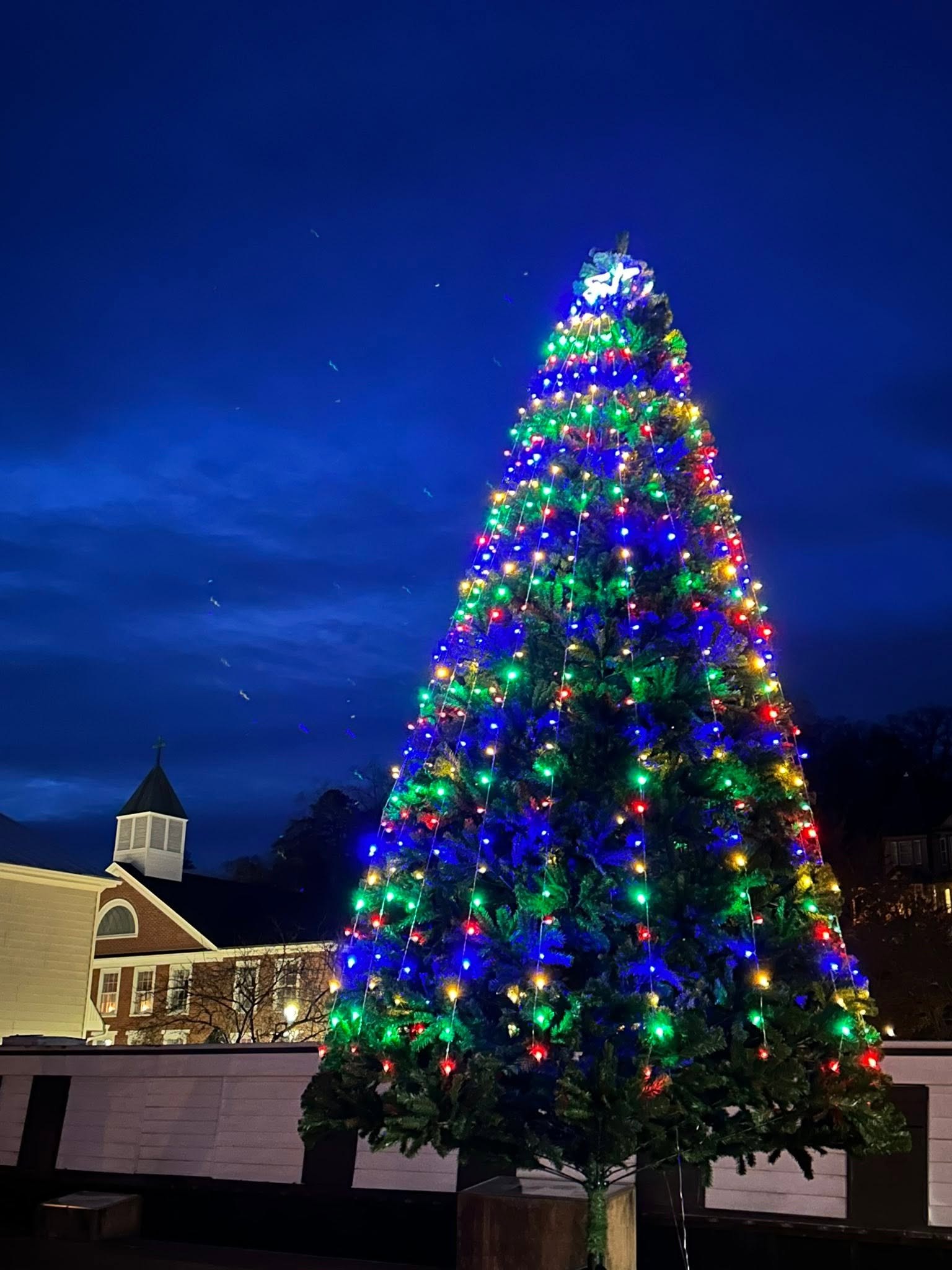 The town Christmas tree lit in multicolored lights against a deep blue evening sky
